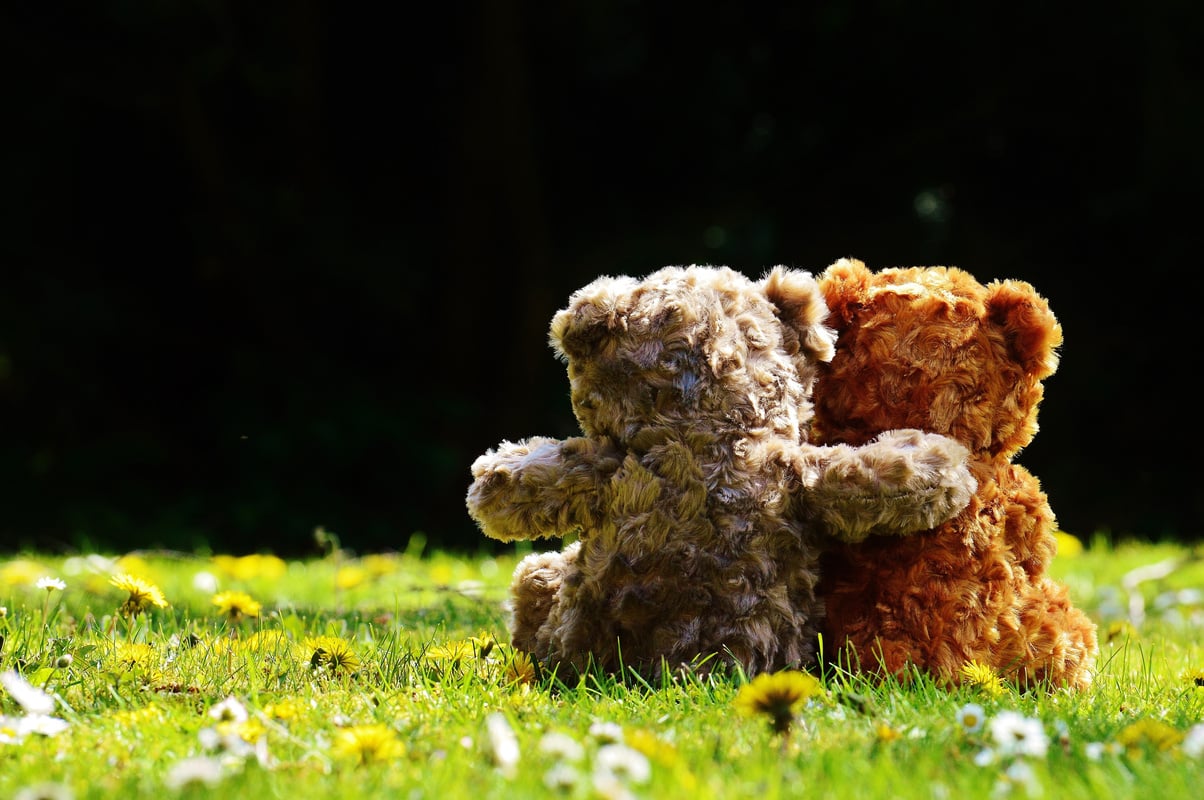 Teddy Bears on Grass